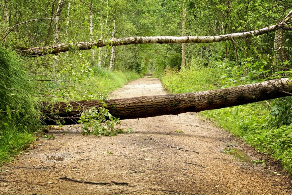 Rupture des relations commerciales établies